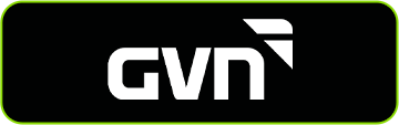 logogvnsite